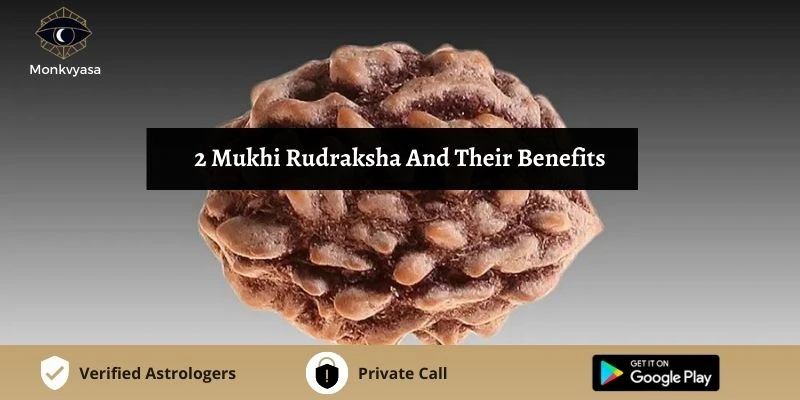 2 Mukhi Rudraksha And Their Benefits
